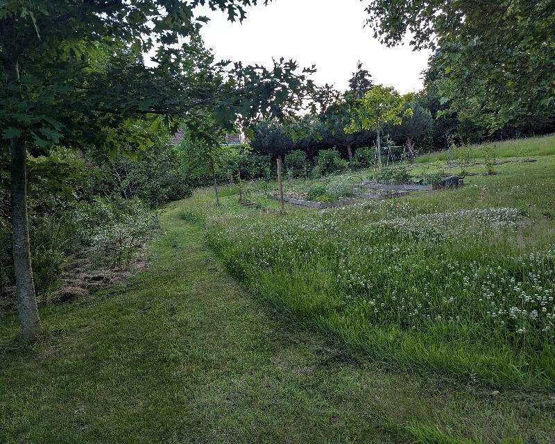 20250630_130834_nat-rn-terrain-672_photo_2025-06-12 21.17.18.jpg
